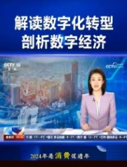 数字经济--CCTV-13解读数字化转型剖析数字经济